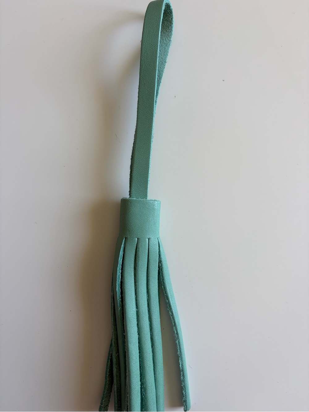 Portland Leather Goods Leather Tassel in Mint 💚 NWOT